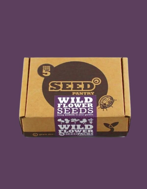 seed mailer boxes